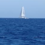 azさんのプロフィール画像