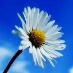 あゆみさんのプロフィール画像