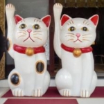 おちゃこさんのプロフィール画像