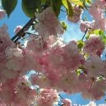 nonnさんのプロフィール画像