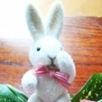 どらこさんのプロフィール画像