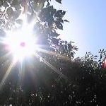 soraさんのプロフィール画像