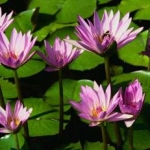 g******さんのプロフィール画像