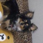 ゆかりさんのプロフィール画像