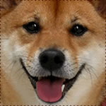 まるこママさんのプロフィール画像