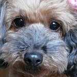 ふわふわまりん