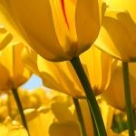 みずさんのプロフィール画像