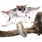 momonga5さんのプロフィール画像