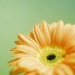 Rさんのプロフィール画像