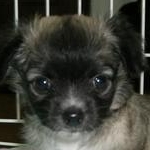 ゆきうさこさんのプロフィール画像