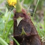 木村ちっぷさんのプロフィール画像