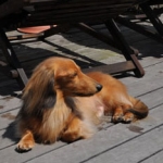 そらと日向ぼっこさんのプロフィール画像