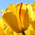 tomotmo0101さんのプロフィール画像