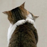 みにょんさんのプロフィール画像