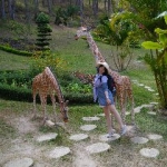 きゆさんのプロフィール画像