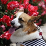 みっくままさんのプロフィール画像