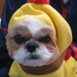 uzuちゃんさんのプロフィール画像