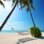 monita★さんのプロフィール画像