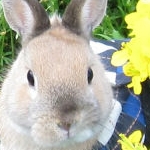 あやこさんのプロフィール画像