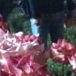 ロビンさんのプロフィール画像