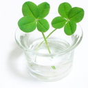 かりささんのプロフィール画像