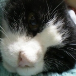 あっきーさんのプロフィール画像