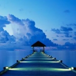 はいみいさんのプロフィール画像