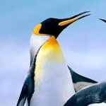 つーすてっぷさんのプロフィール画像