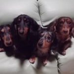 Yukiさんのプロフィール画像