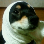 そにあさんのプロフィール画像