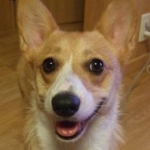 ユッキィさんのプロフィール画像