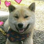 やまこさんのプロフィール画像