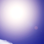 れいんぼーさんのプロフィール画像