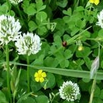 くーでれさんのプロフィール画像