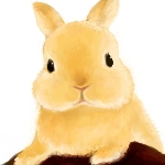 あやこうさぎさんのプロフィール画像