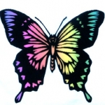 悠さんのプロフィール画像