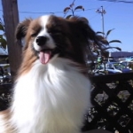 とみぃさんのプロフィール画像