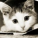 ゆかおさんのプロフィール画像