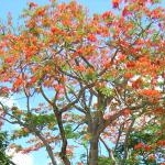 ゆちさんのプロフィール画像