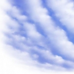 夾竹桃さんのプロフィール画像