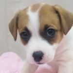 さちさんのプロフィール画像