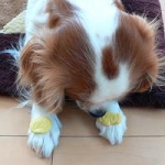 レベッカさんのプロフィール画像