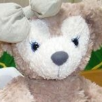 はっちさんのプロフィール画像