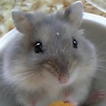 スミッキーさんのプロフィール画像