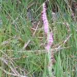 晴れ20℃さんのプロフィール画像