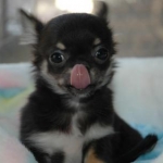 moaさんのプロフィール画像