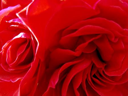 ごーやハンドルさんのプロフィール画像