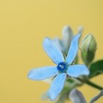 spiralさんのプロフィール画像