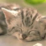 みたんさんのプロフィール画像