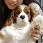 あくちょさんのプロフィール画像